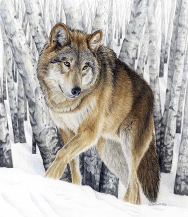 Framed Silent Traveler Print