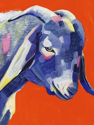 Framed Animal Party III Print