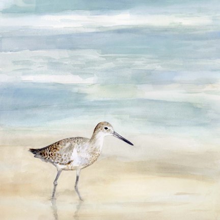 Framed Speckled Willet I Print