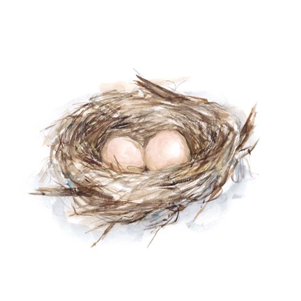 Framed Bird Life II Print