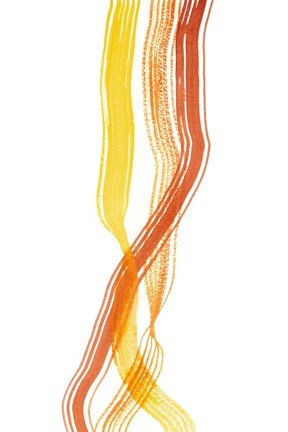 Framed Ribboned IV Print