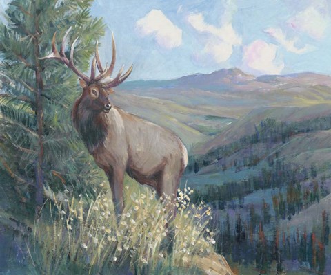 Framed View From the Top II Print