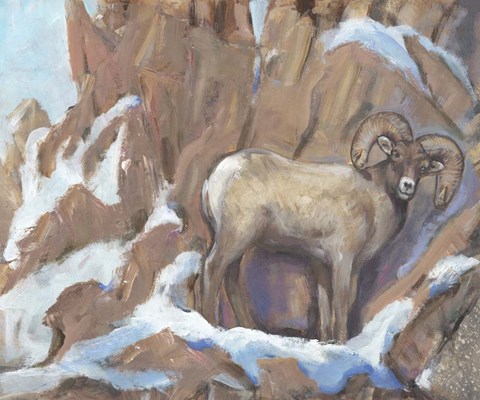 Framed View From the Top III Print