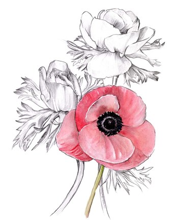 Framed Anemone by Number I Print