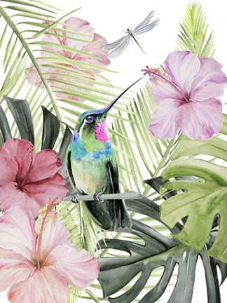 Framed Hibiscus &amp; Hummingbird II Print