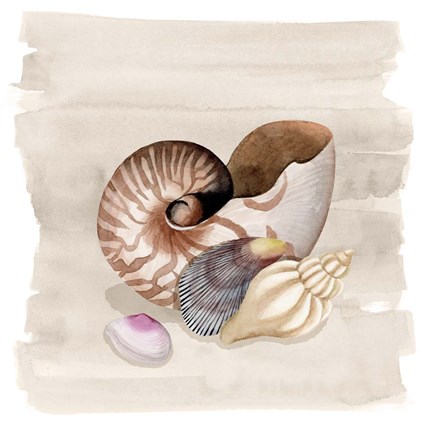 Framed Ocean Keepsake I Print