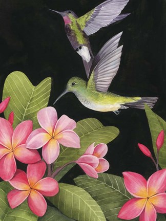 Framed In the Plumeria II Print