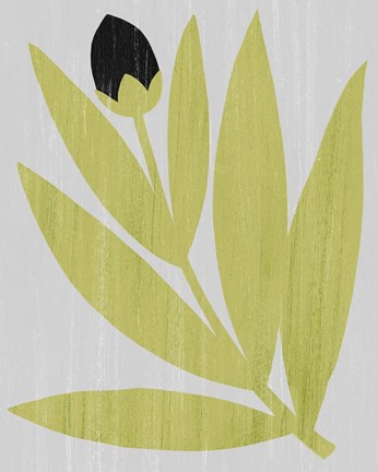 Framed Flower Cutting I Print