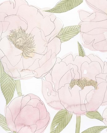 Framed Veiled Peonies I Print