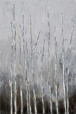 Framed Bare Tree Tops II Print