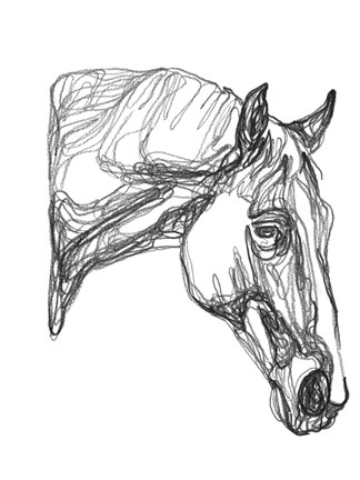 Framed Equine Contour III Print
