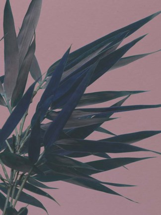 Framed Bamboo Pink I Print