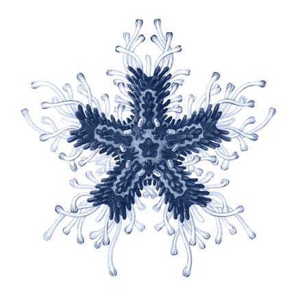 Framed Navy Ocean Gems IV Print