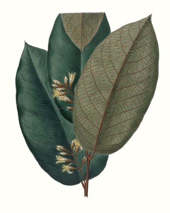 Framed Fall Foliage I Print