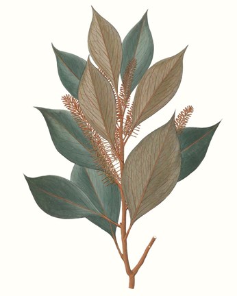 Framed Fall Foliage VII Print