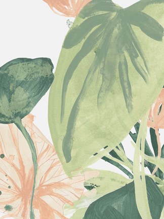 Framed Blush Breeze II Print