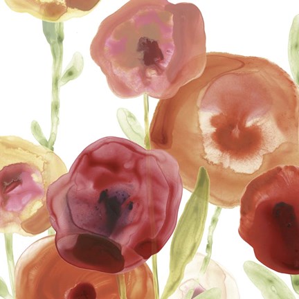 Framed Poppy Patch I Print