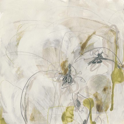 Framed Arctic Lichen II Print