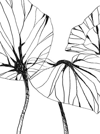 Framed Linear Tropics I Print