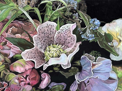 Framed Dark Velvet I Print