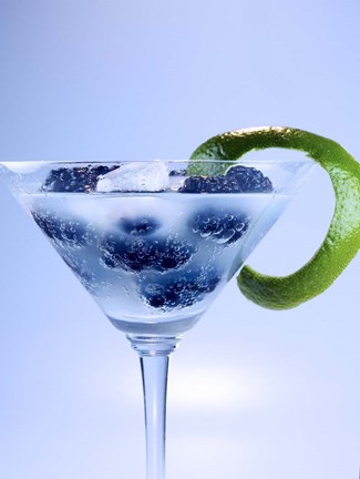 Framed Berries And Gin 1 Print