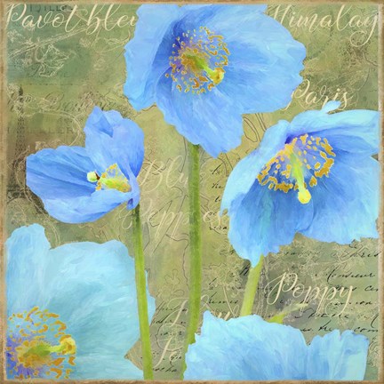 Framed Blue Poppies Print