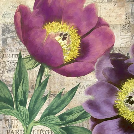 Framed Purple Peonies Print