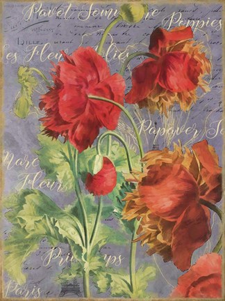 Framed Red Poppies Print