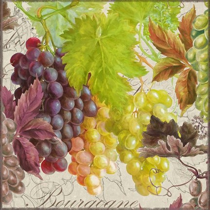 Framed Vintage Fruits II Grapes Print