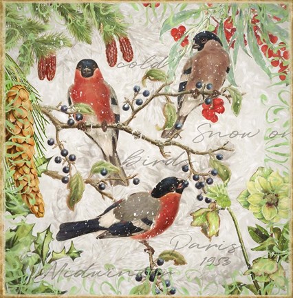 Framed Winter Birds Bullfinches Print