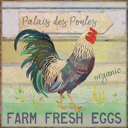 Framed Egg Farm Rooster Print