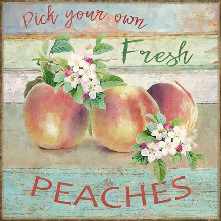 Framed Farmers Market Peaches Print