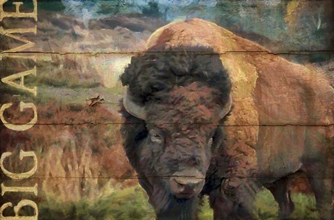 Framed Big Game Bison Print