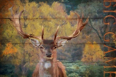 Framed Big Game Deer Print
