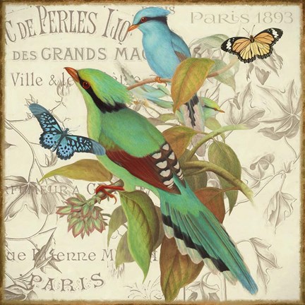 Framed Bird Couple III Print