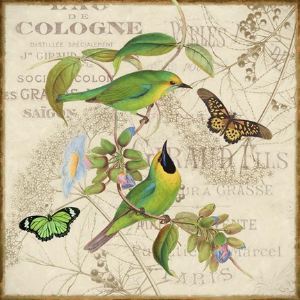 Framed Bird Couple IV Print