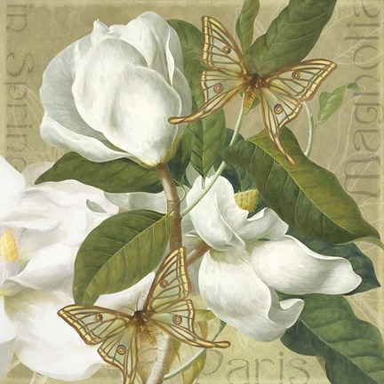 Framed Paris Magnolia&#39;s in Spring II Print