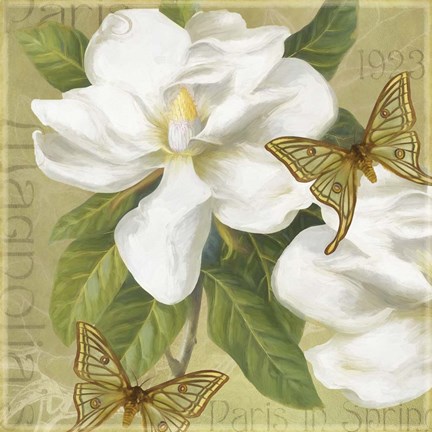 Framed Paris Magnolia's in Spring I Print