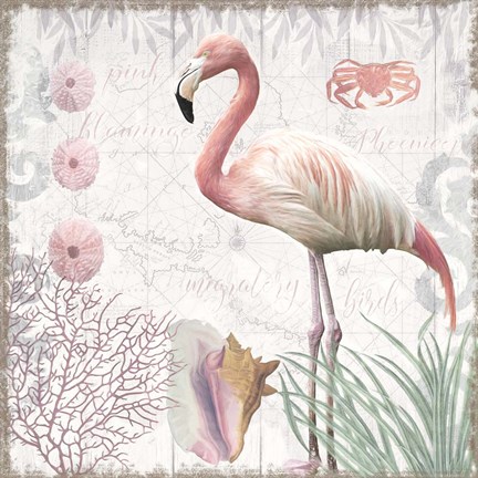Framed Waders I Flamingo Print
