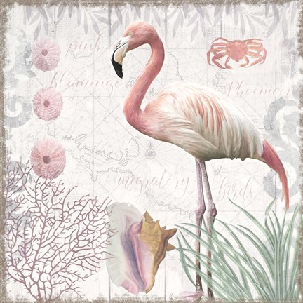 Framed Waders I Flamingo Print