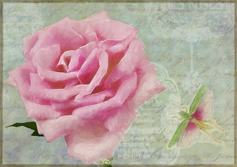Framed Pink Rose With Grasshopper II Print