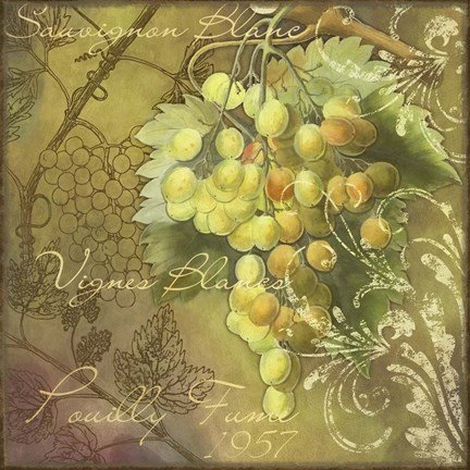 Framed Vignes Blancs Pouilly Fume Print