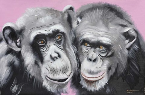 Framed Loving Chimps Print