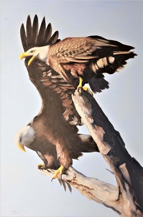 Framed Eagles Print