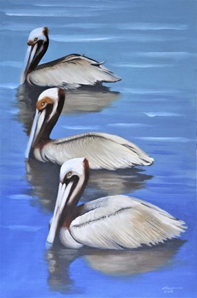 Framed Three Pelicans Print