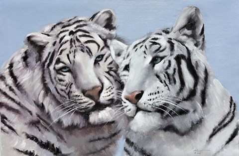 Framed Loving White Tigers Print