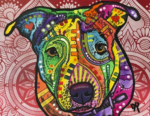 Framed Eyes are the Window to the Soul Print