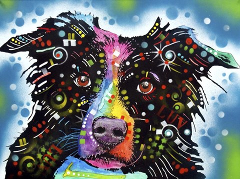 Framed Border Collie 3 Print