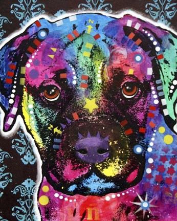 Framed Young Bull Mastiff Print