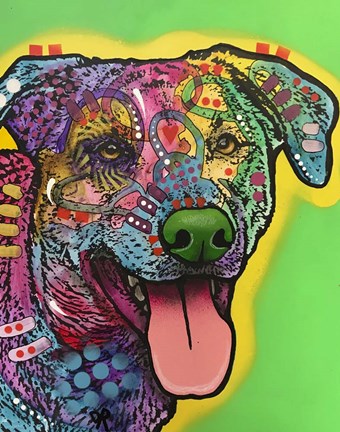 Framed HawkEye Print